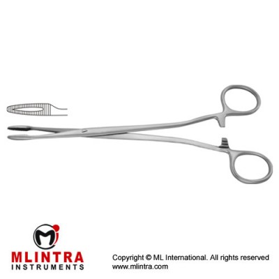 Duplay Sponge Holding Forcep Straight Stainless Steel, 21 cm - 8 1/4"